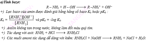 AMIN – AMINO AXIT - PROTEIN 2.png