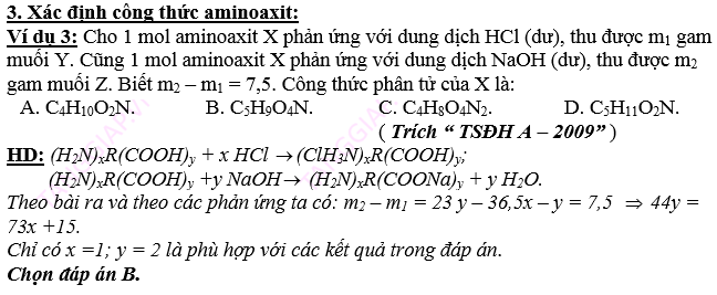 AMIN – AMINO AXIT - PROTEIN10.png