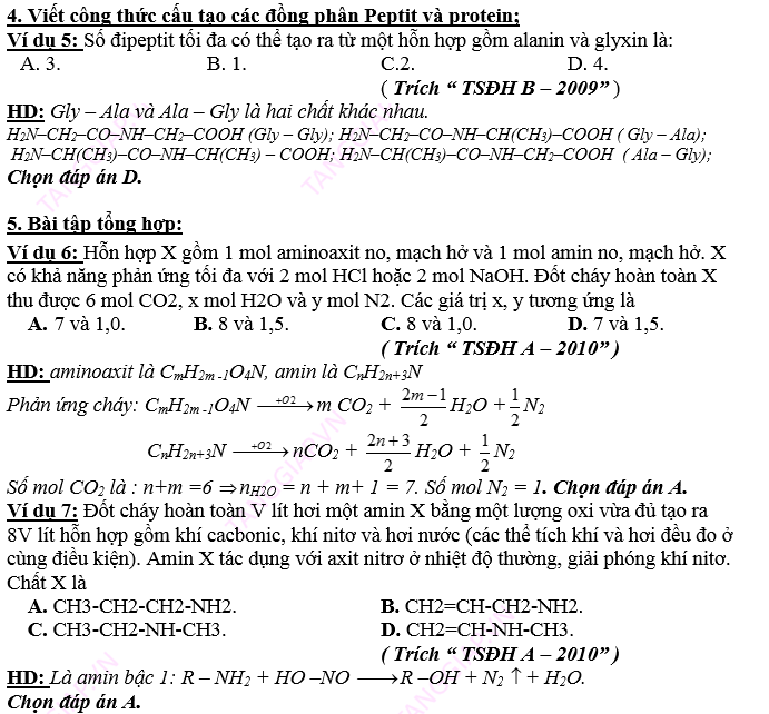 AMIN – AMINO AXIT - PROTEIN13.png