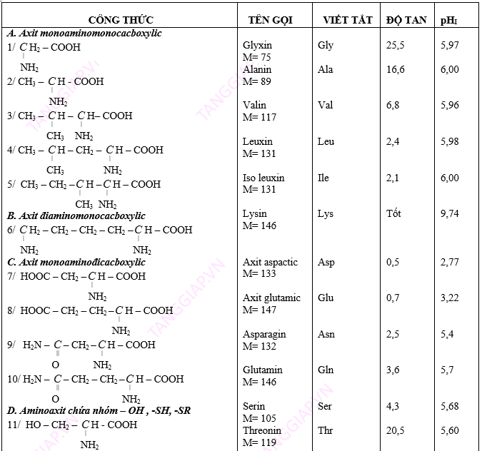 AMIN – AMINO AXIT - PROTEIN6.png