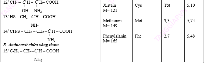 AMIN – AMINO AXIT - PROTEIN7.png