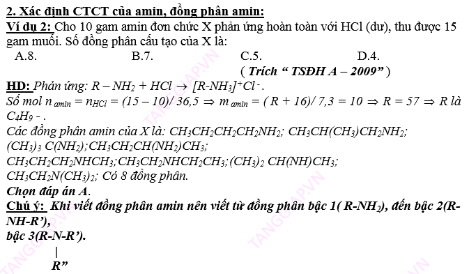 AMIN – AMINO AXIT - PROTEIN9.png