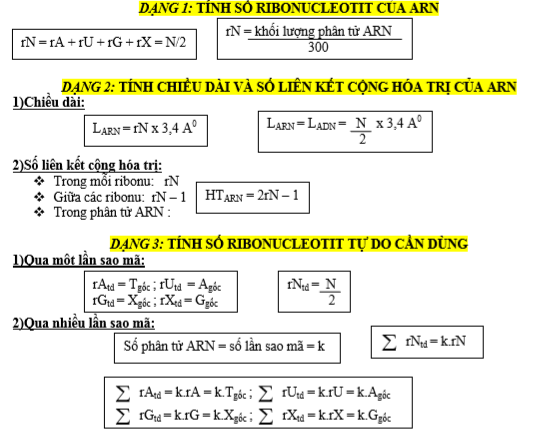 Chuyên đề protit và adn (1).PNG