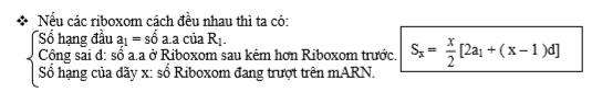Chuyên đề protit và adn (5).png
