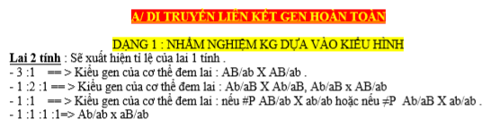 Di truyền liên kết gen hoàn toàn (1).PNG
