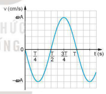 đồ thị Vận tốc của vật dao động điều hòa.png