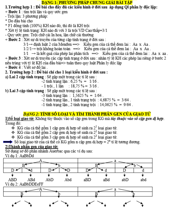 Quy luật phân ly và phân ly độc lập (1).PNG