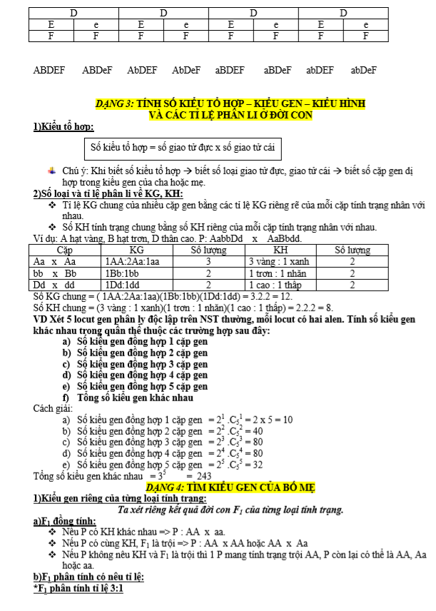 Quy luật phân ly và phân ly độc lập (2).PNG