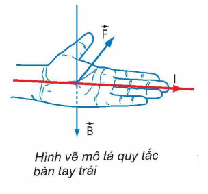 Quy tắc bàn tay trái cho lực từ.png